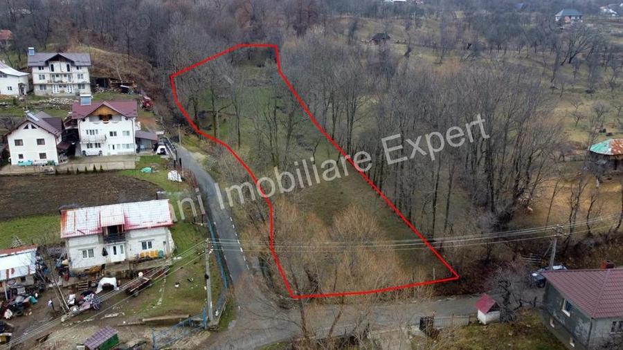 Teren de vanzare in comuna Arefu, jude? Arge?. - 15