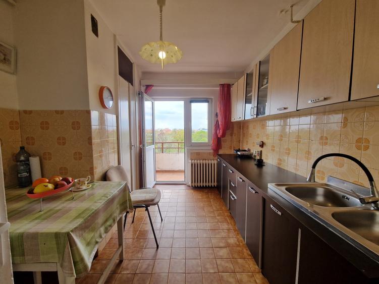 Pe cel mai frumos bulevard din oraș CORNELIU COPOSU-terasa cu vedere spre Bega - 25