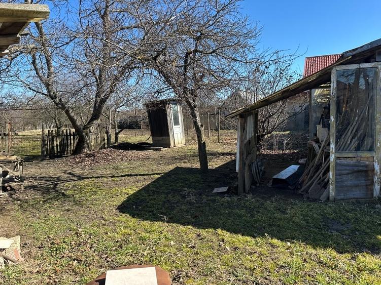 Casa batrineasca cu approx 2800 mp teren, vie, pomi fructiferi, zmeura, coacăze - 11