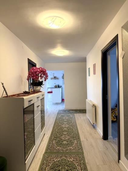 Vila /Casa cu potential in Faget ,510 mp utili - 4