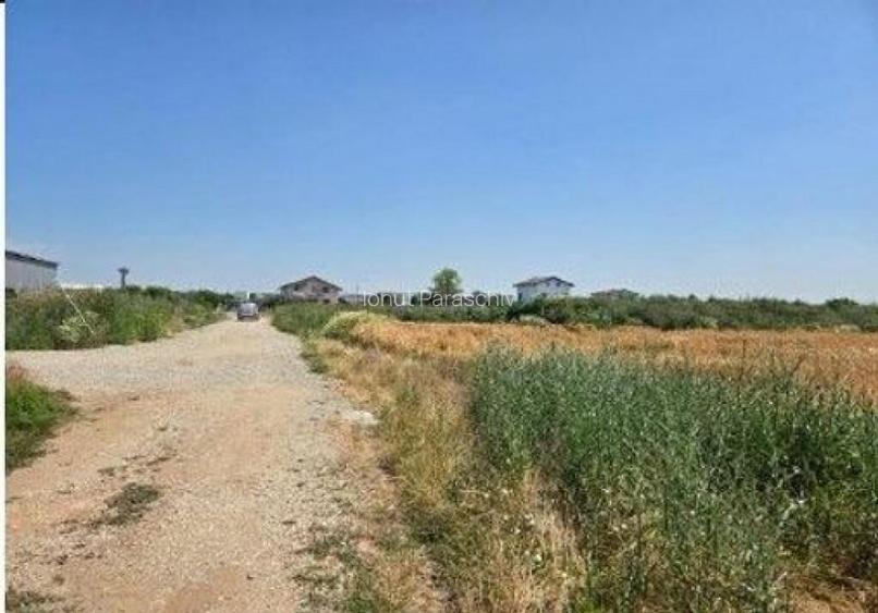 Teren extravilan cota parte 1/2, Magurele, ID: R2641535