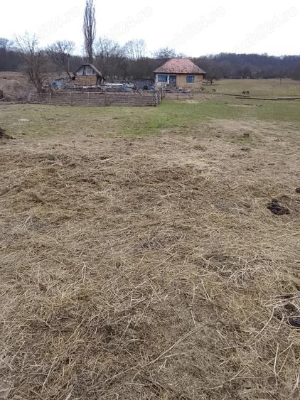 Casa+Teren Maleni,jud Salaj - 1