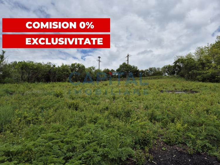 Oportunitate de investitie! Teren extravilan 11 400 mp, Apahida - 1