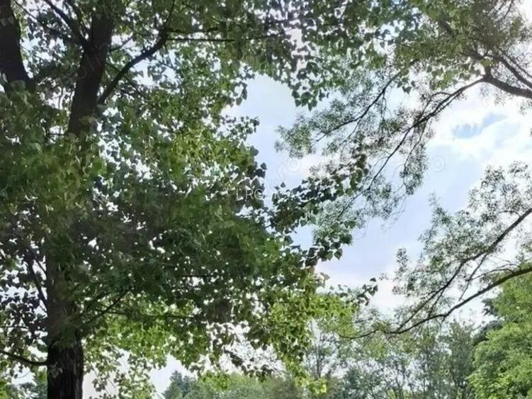 Drumul Taberei Parc Moghioros fost Compozitorilor sector 6 , Restaurant Hanul Drumetului 2 CAMERE Drumul Taberei Parc Moghioros fost Compozitorilor sector 6 , Restaurant Hanul Drumetului 2 CAMERE