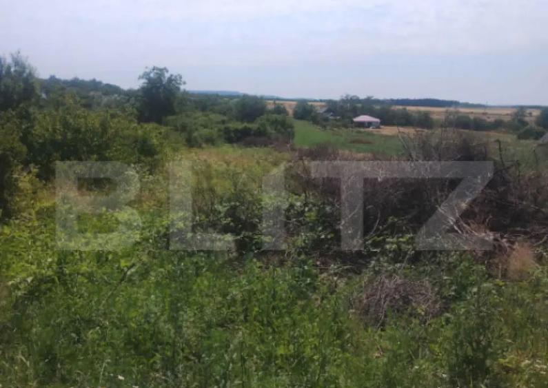 Teren intravilan Ardud Vii - 2