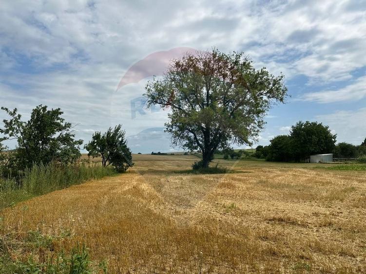 Casa si teren intravilan 4.779 mp Girov, Neamț - 14