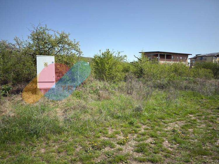 Teren intravilan 1000 mp, zona Giuseppe Verdi - 4