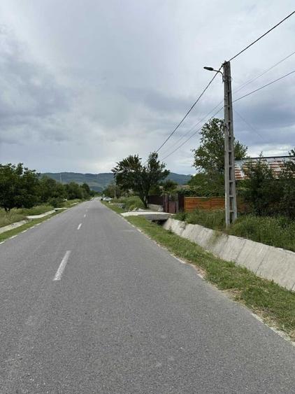 Vând 5000m pătrați teren,intravilan și extravilan. - 1