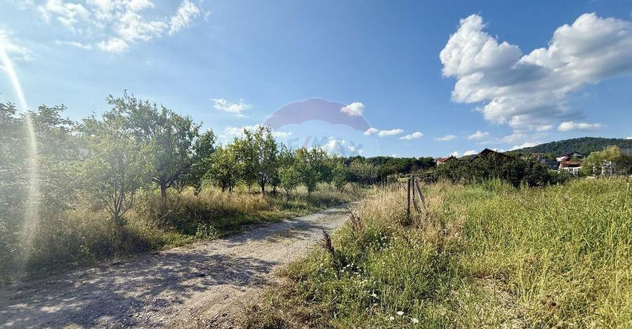 Teren Tautii-Magheraus - 3