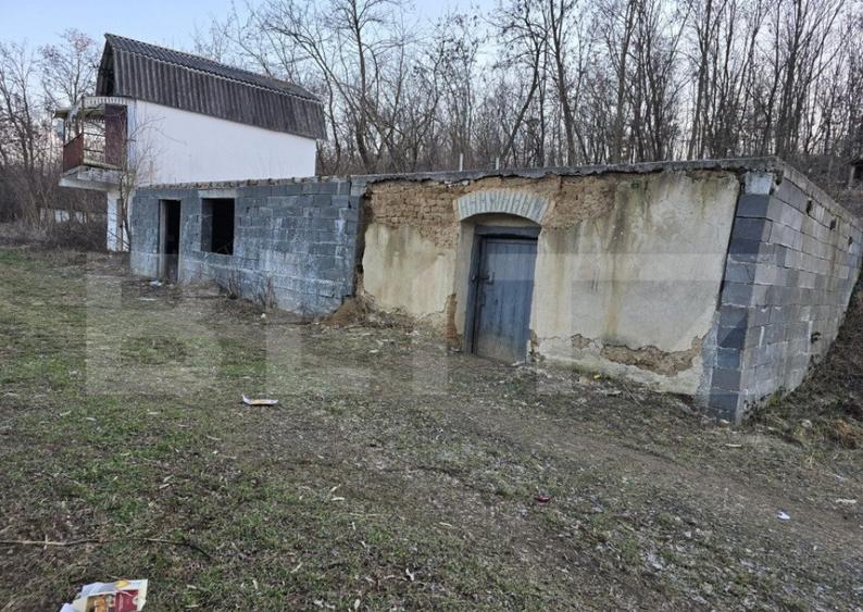 Teren intravilan 7.9 ha. Sandra - 20