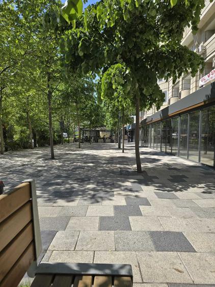 Vanzare 2 camere Decebal Stradal - 8