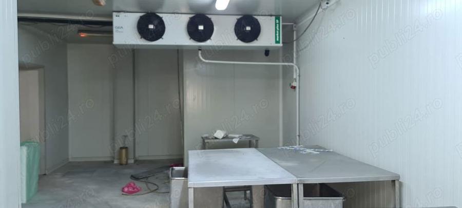 Vand hale frig (1200 mp)+teren intravilan 6400 mp (3000 curte betonata) in Carani (intre TM si AR ) - 9