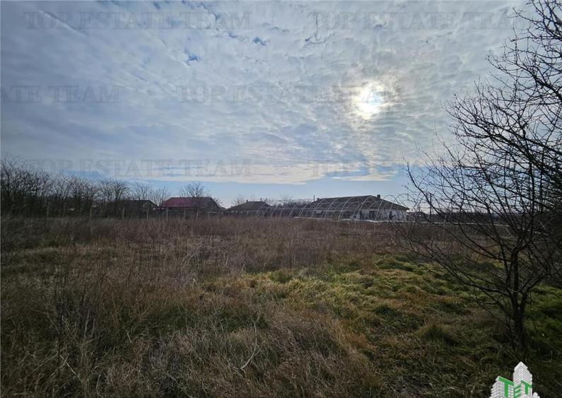 Teren intravilan Harsova - 2