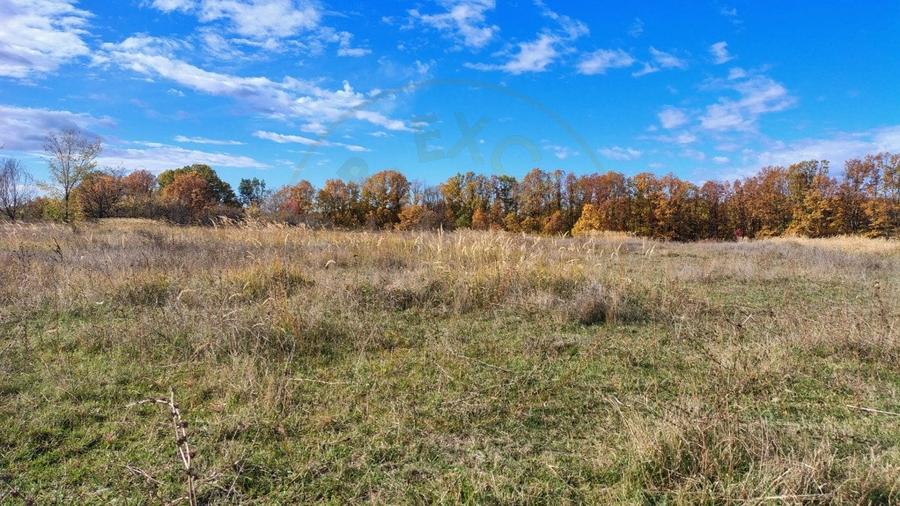 Teren Arges - Mosoaia - 6