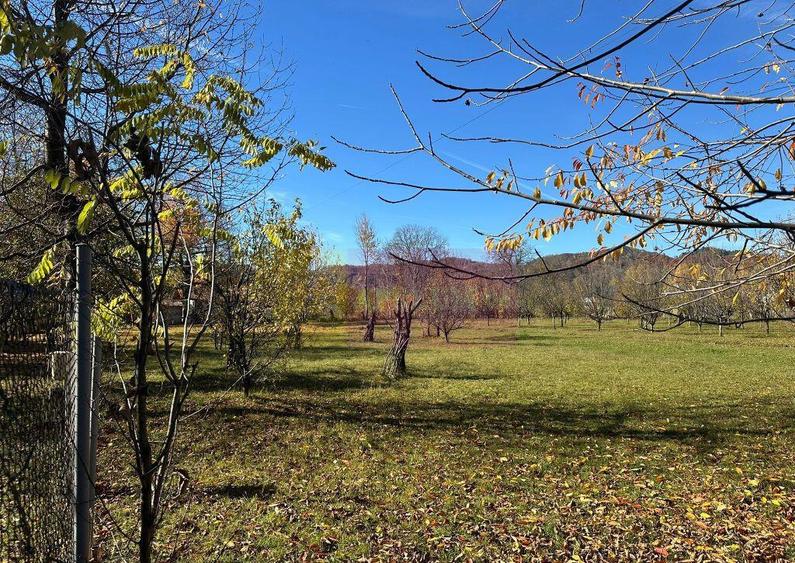 Teren intravilan de vanzare in Brebu (zona foarte linistita) - 1