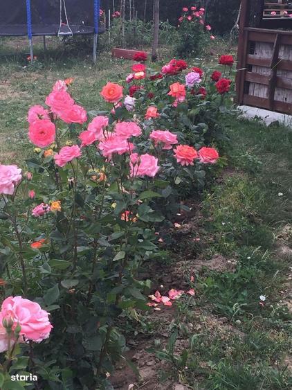 Teren intravilan, acces la utilitati, Vanatori, jud. Galati - 4