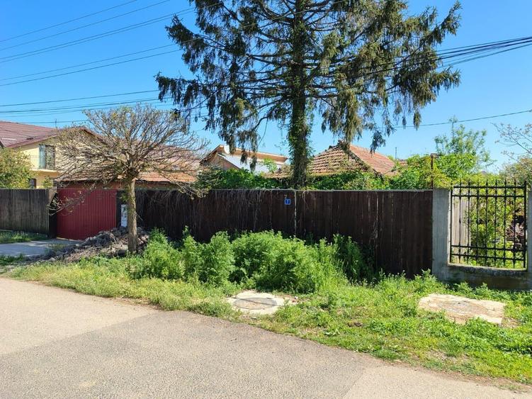 Moara Vlasiei, 320 MP, asfalt+utilitati, urbanism+avize - 35.000 EUR - 4