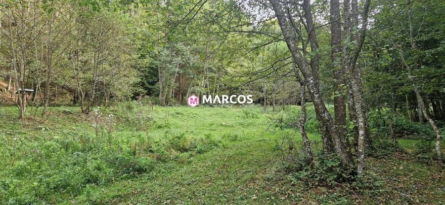 Teren Valiug, 612mp,ID 1036 - 4