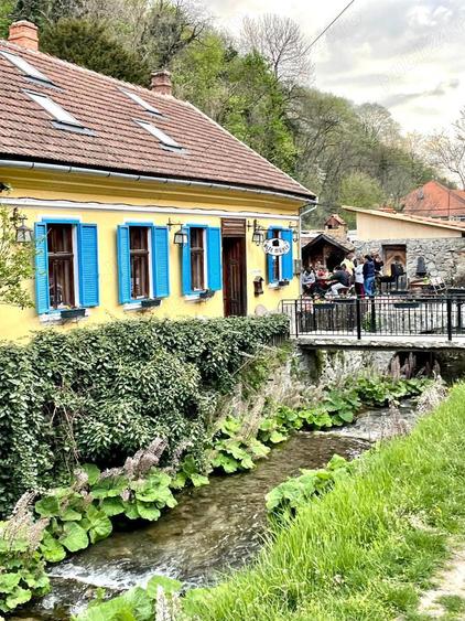 Restaurant Casa de vacan?a Sasca Montana - 2