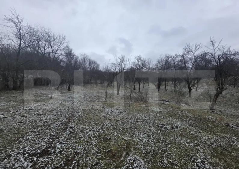 Teren intravilan, 9066 mp, zona Aninoasa - 7