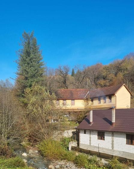 Casa de vanzare Rusca Montana - 8