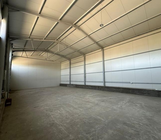 Zona industriala Hala Noua - 1