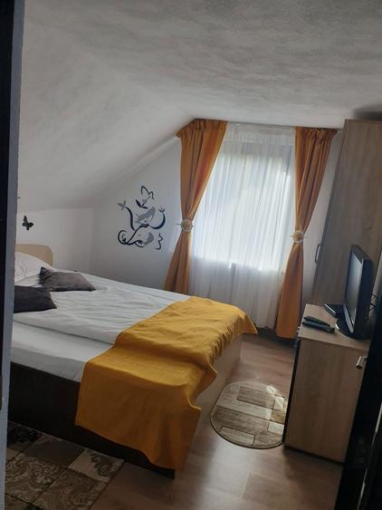 Cabana spatioasa de inchiriat - 3