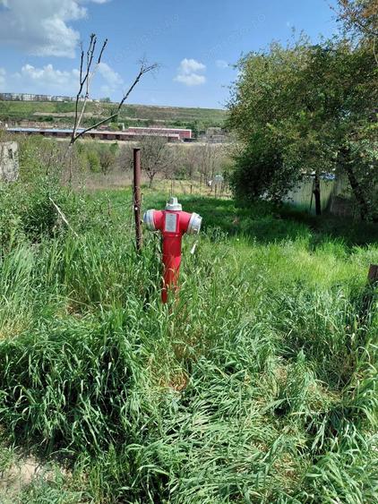 Teren intravilan 3.250 mp in File?ti Ideal pentru casa sau investi?ie! - 6