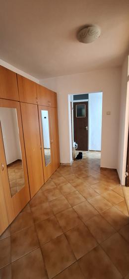 3 camere Basarabia Arena Nationala pet friendly - 9