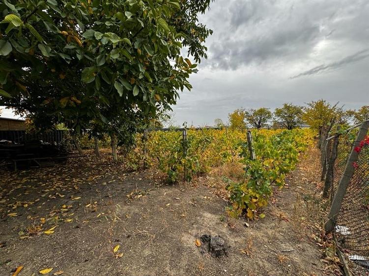 CASA DE VANZARE ODOBESTI (ZONA DE VILE) - 6