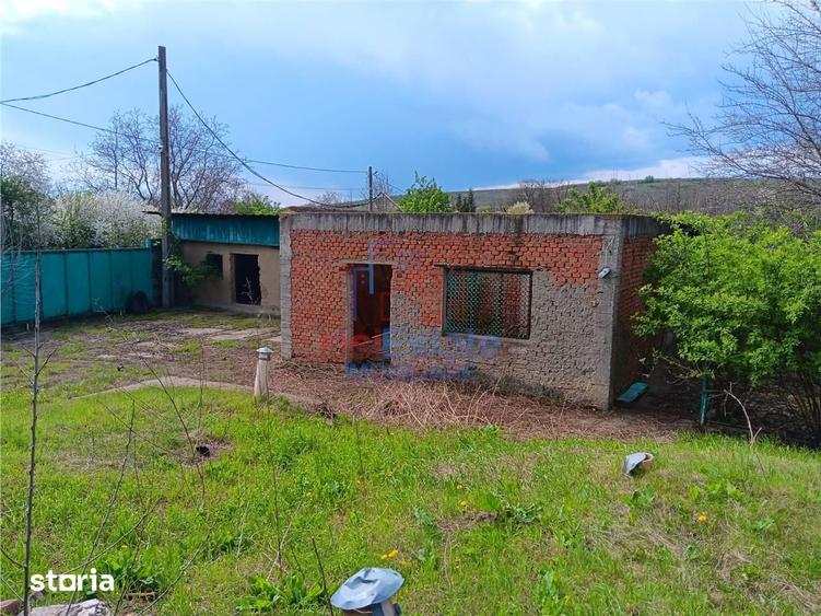 Badeni com Scobinti Iasi Constructii 245mp Teren 4239mp intravilan du - 8