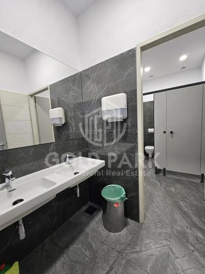 Spatiu de Birouri-Clasa A-Zona Centrala-Suprafete intre 110-700 mp - 9