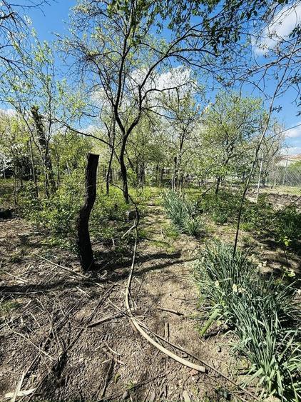 Ciarda Roșie | 2 case în curte | Teren 700 mp | Garaj | Toate utilitățile - 7