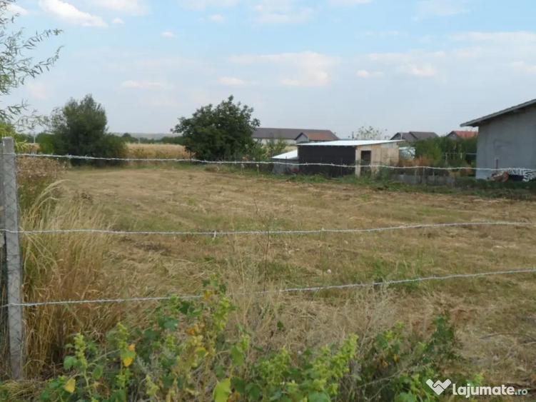 Vand 2 terenuri Munteni 1000mp fiecare - 2