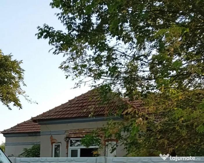 Casa P, 96 mp, teren 1948, Silistea Crucii - 8