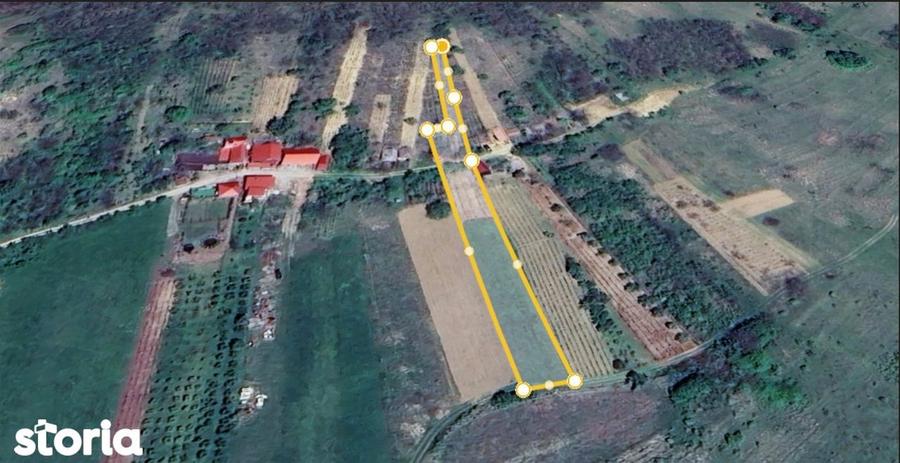 Teren in Uileacul de Cris, 2000 mp extravilan, Bihor,Gaminvest ,A2716 - 2