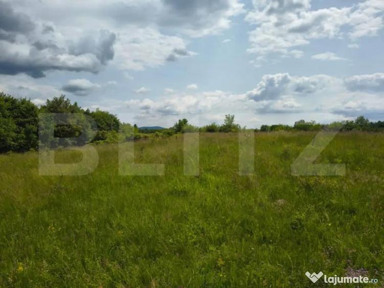 TEREN ideal CASA VACANTA,CASA LOCUIT ,ZONA SUBCARPATICA Vale - 6
