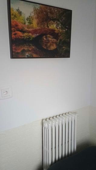 Inchiriez camera/minigarsoniera cu toaleta si baie proprie langa AFI - 8