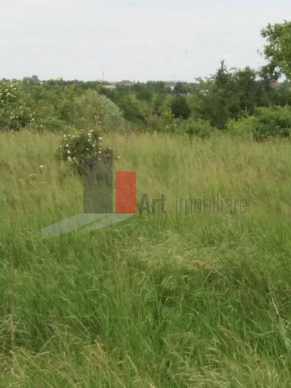 Teren Buftea cu iesire la lac - 6