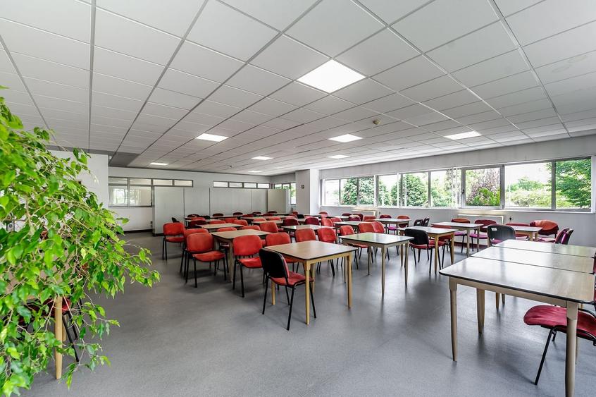 Oportunitate: Hală de producție și depozitare cu birouri în Arad - 15