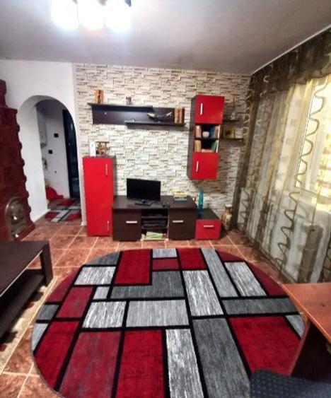 Apartament ideal pentru locuinta permanenta sau casa de vacanta - 2