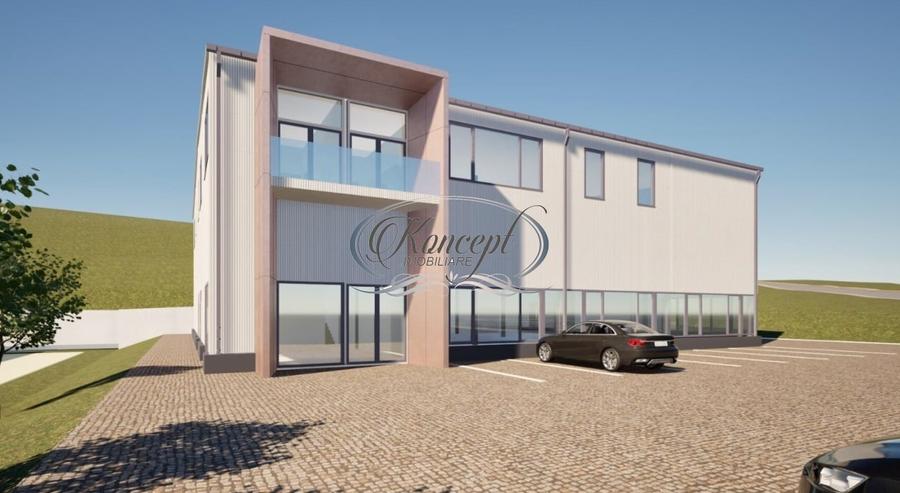 Teren industrial cu autorizatie hala, Valea Chintaului - 1