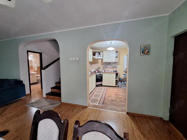 Vand vila in sat Rosu - 8