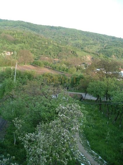 Drajna de Jos 5000 mp Teren +Casa demolabila ! - 2