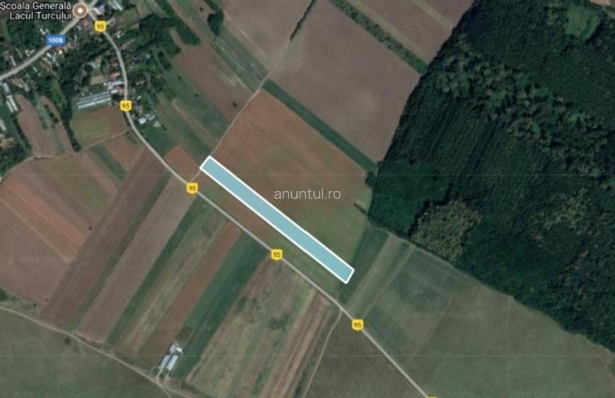 Prahova Teren de vanzare in Balta Doamnei, deschidere 15ml, 6569mp Prahova Teren de vanzare in Balta Doamnei, deschidere 15ml, 6569mp