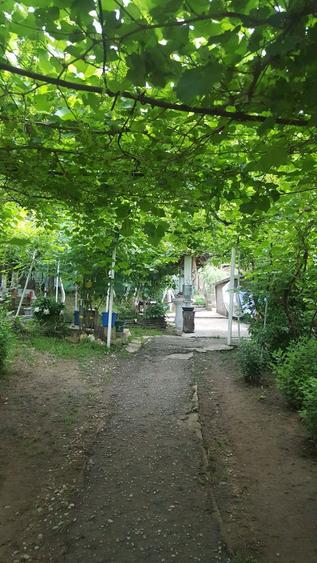 Casa la tara, Tuglui, sat Glod - 5