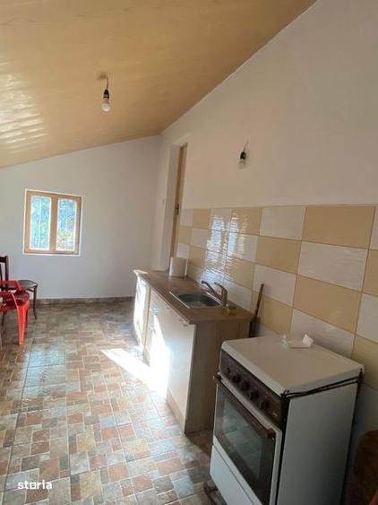 Casa batraneasca renovata cu teren - 8