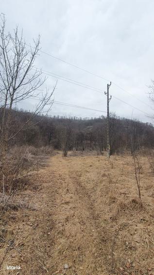 Teren Stana de Vale Sovata - Telek Patakmajor - 3
