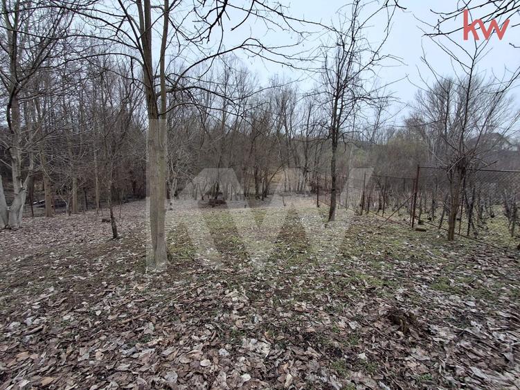 Vânzare Teren  Malu Mare * zona centrală - 2