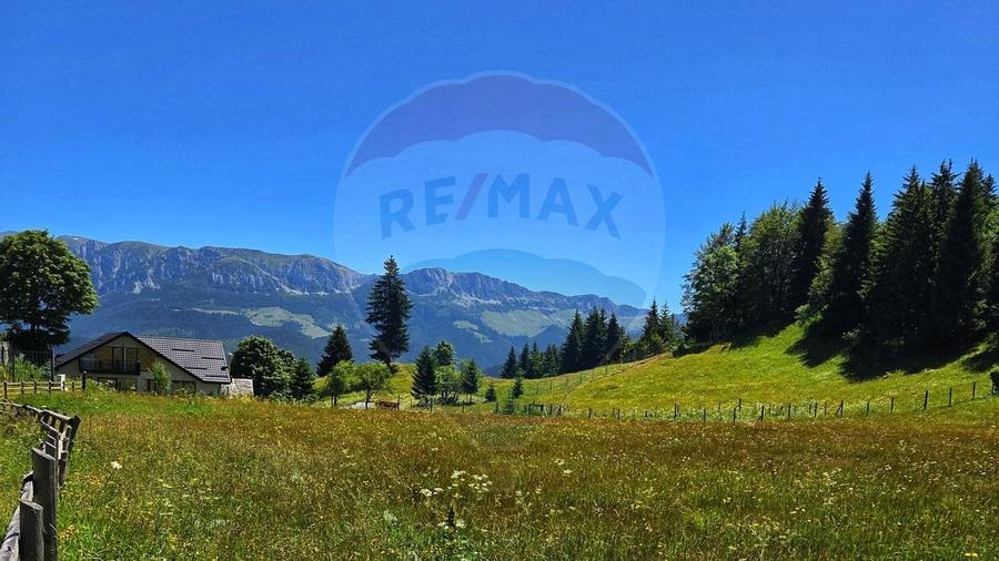 Teren de 7830mp de vanzare in Fundata! Comision 0% - 5